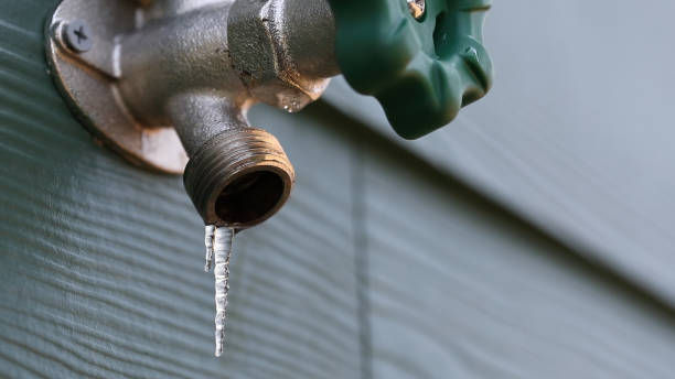 Best Drain Cleaning Services  in Chama, NM